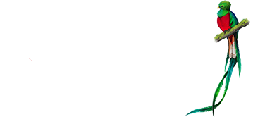 JLB Landscaping & Construction