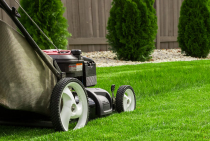 Lawn Maintenance